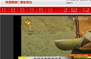 新浪新闻中心等多家媒体报道了土大妈